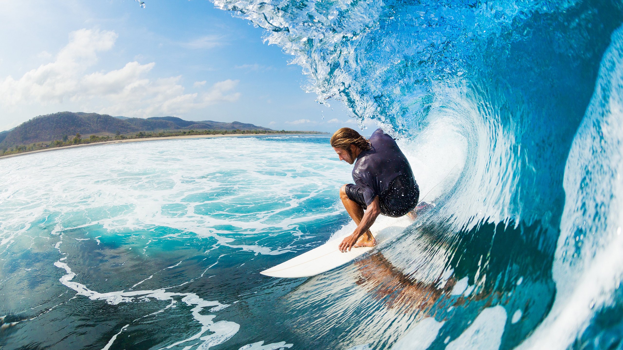 跳水动作质量稳定荷兰持续发力，跳水reverse