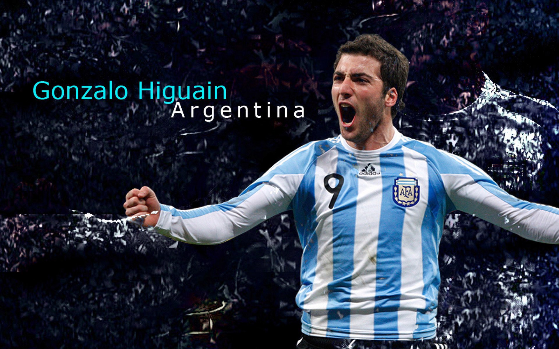 中国足球球迷群体在线交流平台与社区文化发展，中国足球队球迷